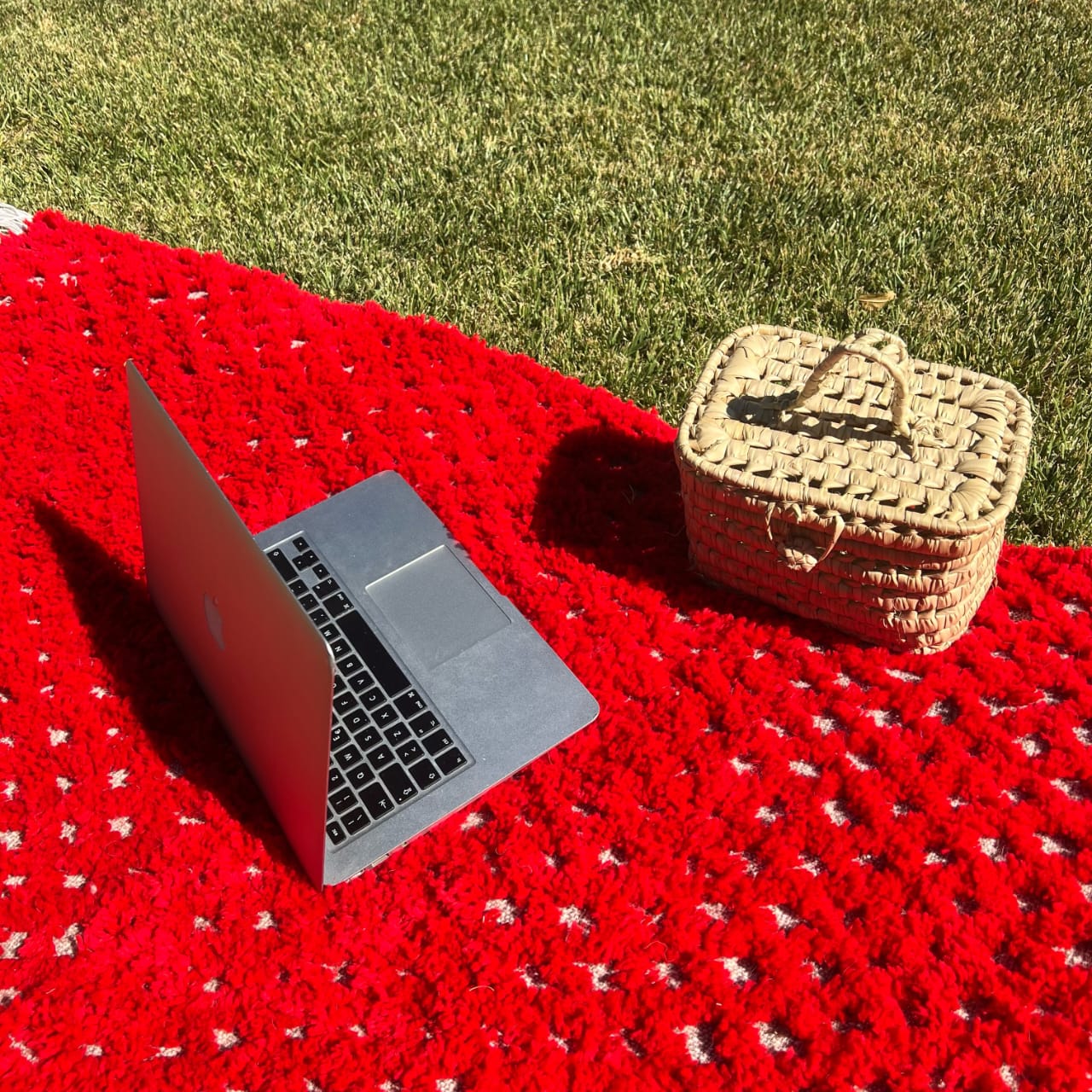 Minimalist Berber High-Pile Rug